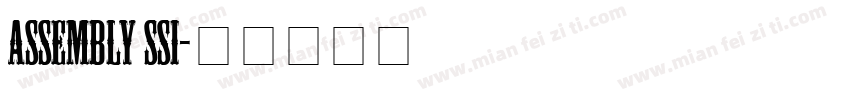 Assembly SSi字体转换